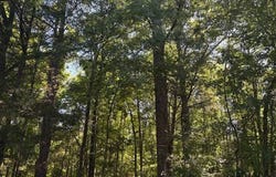Barland Road, Pattison, MS 39144