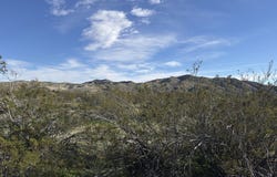 Palo Verde, Morongo Valley, CA 92256