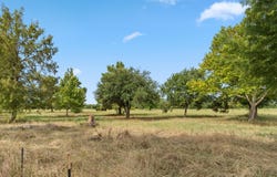 3016 County Road 4405, Commerce, TX 75428