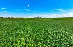 P Avenue, Maynard, IA 50655