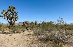 328-04-362 Mesquite Road, Dolan Springs, AZ 86441