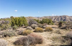 Magnolia Drive, Morongo Valley, CA 92256