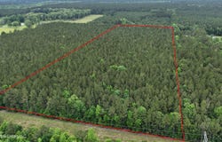 Davis Road, Morton, MS 39117