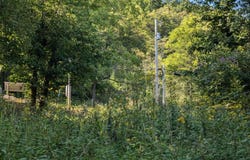 8000 E Upper Dry Fork Road, Madison, IN 47250