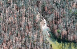 Tom Young Bridge Rd., Iva, SC 29655