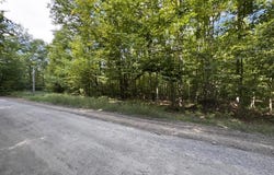 V/L Adams Road, Wolverine, MI 49799