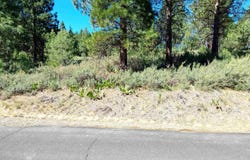 1175 Great Spirit lot: 388, Portola, CA 96122