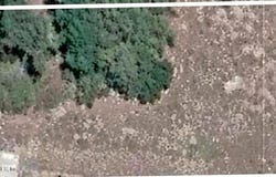 705 HICKORY NUT Trail, Satsuma, FL 32189
