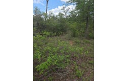 5345 Hwy 36, Milano, TX 76556