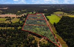 Tract 1 Slash Pine, Big Sandy, TX 75755