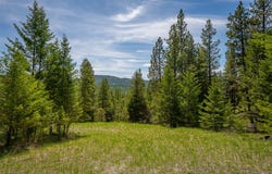 689 Springhill Road, Kila, MT 59920
