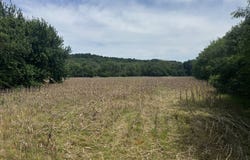 Hwy 159, Forest City, MO 64451