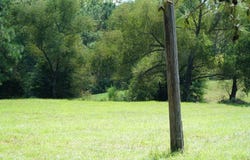 Pounders Sims Rd, Haleyville, AL 35565