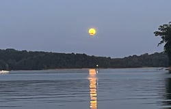 Bayside lot: 42, Bean Station, TN 37708