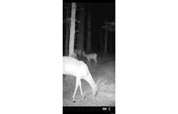 1223 Mill Creek Road, Higden, AR 72067