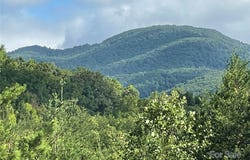 Birkdale Drive, Mill Spring, NC 28756