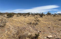 Leaping Lizard Lane, Apple Valley, CA 92307