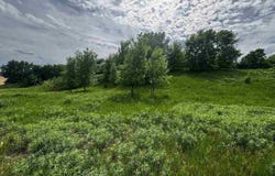 State Hwy 22, St. Peter, MN 56082