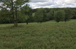 W State Highway U, Walnut Grove, MO 65770