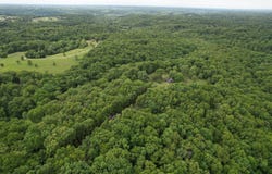 10550 State Hwy A, Crane, MO 65633