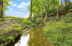 7120 US-127, Albany, KY 42602