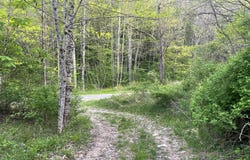 Bob Byrd Rd, SPANISHBURG, WV 25922