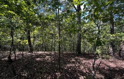 1407 Foxhound Trail NE, Ranger, GA 30734