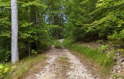 Sunset Valley lot: 106, Campton, KY 41301