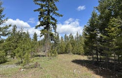 Ranger Rd, Goldendale, WA 98620