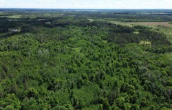 159th Avenue, Sebeka, MN 56477