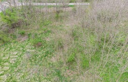 3099 W Kimmel Road, Jackson, MI 49201