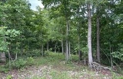 2371 County Road 359, Thayer, MO 65791