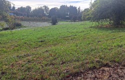 33535 SE BLUFF Rd, Boring, OR 97009