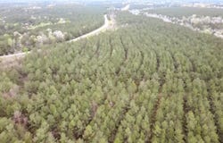 FM 1005, Jasper, TX 75951