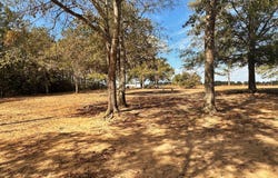 8.75ac Mann Lane, Lucedale, MS 39452