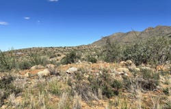 339 Via Mantaraya, Rio Rico, AZ 85648
