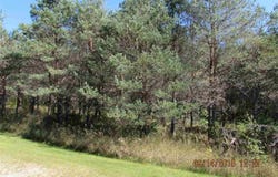451 KLEEHAMMER CLUB DRIVE, KALKASKA, MI 49646