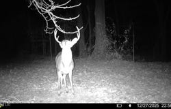 6 Cut Off Road, Carthage, MS 39051