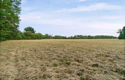 Highway 36, Mt. Vernon, AR 72111