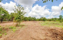 890 Clover Drive, Poolville, TX 76487