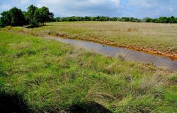 FM 479, Harper, TX 78631