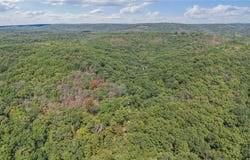80 +/- Acres Proctor Lane, Gravois Mills, MO 65037