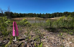 Kolb Hollow Rd, Climax Springs, MO 65324