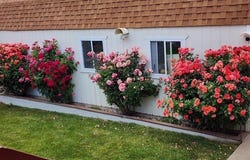 2251 N 850 W, Clinton, UT 84015