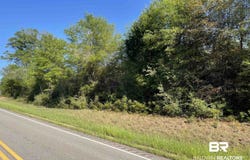 Highway 31, Evergreen, AL 36401