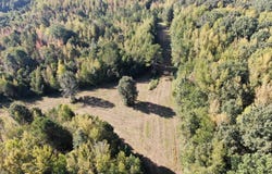 390 Old Panola Rd, Sardis, MS 38666