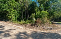 Fulgham Road, Tylertown, MS 39667