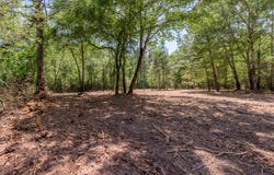 6077 County Road 4200, PENNINGTON, TX 75856