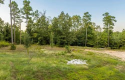 701 Peach Drive, Bismarck, AR 71929