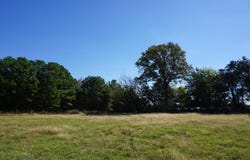 4301 Plainview Rd, TX 75571
